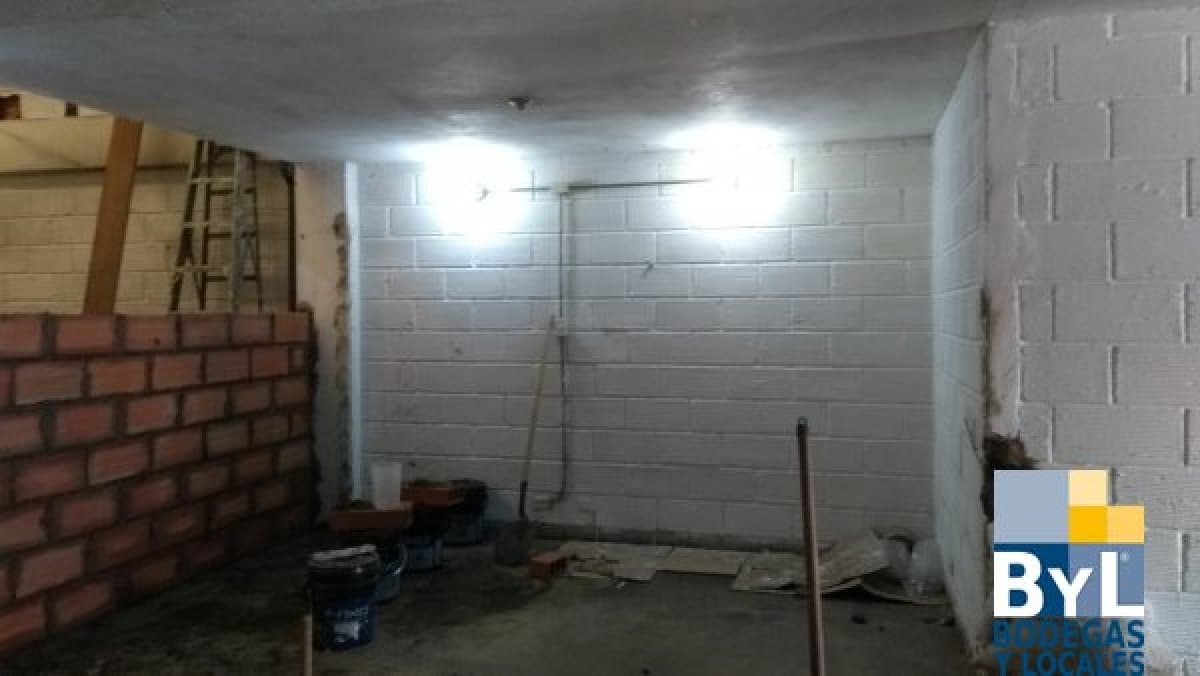 Bodega - Foto 4