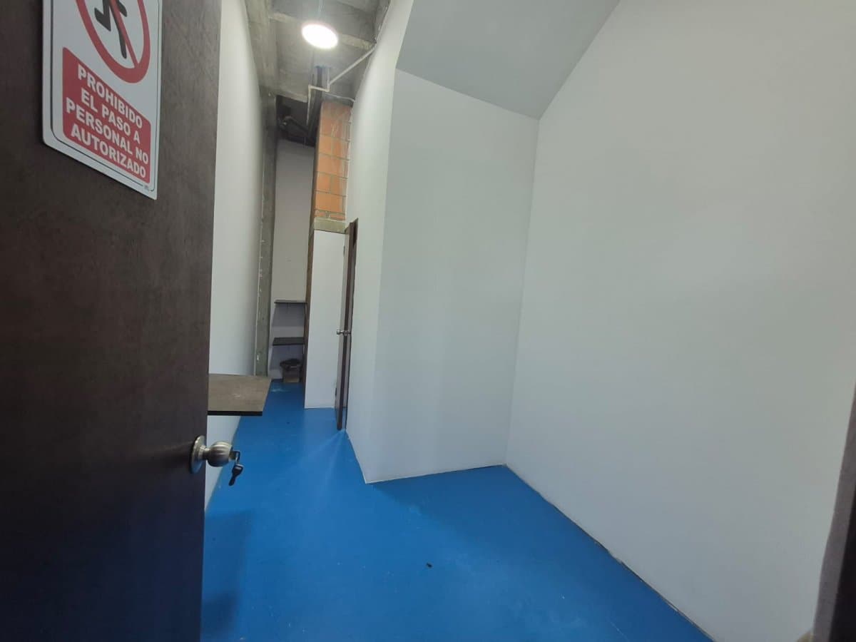 Bodega - Foto 10