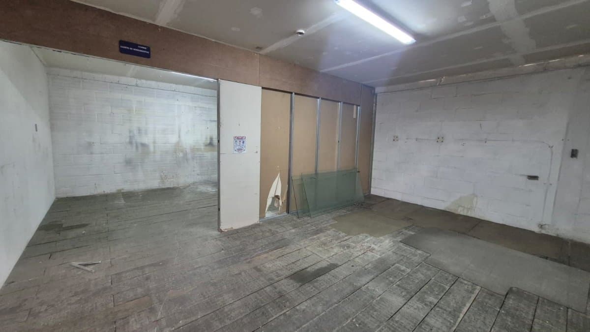 Bodega - Foto 4