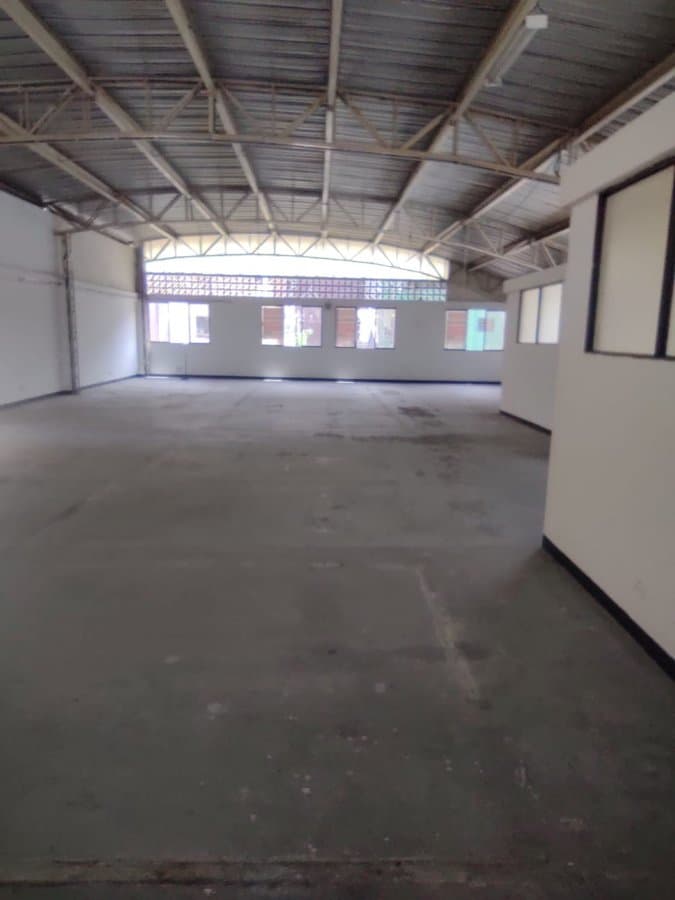 Bodega - Foto 5