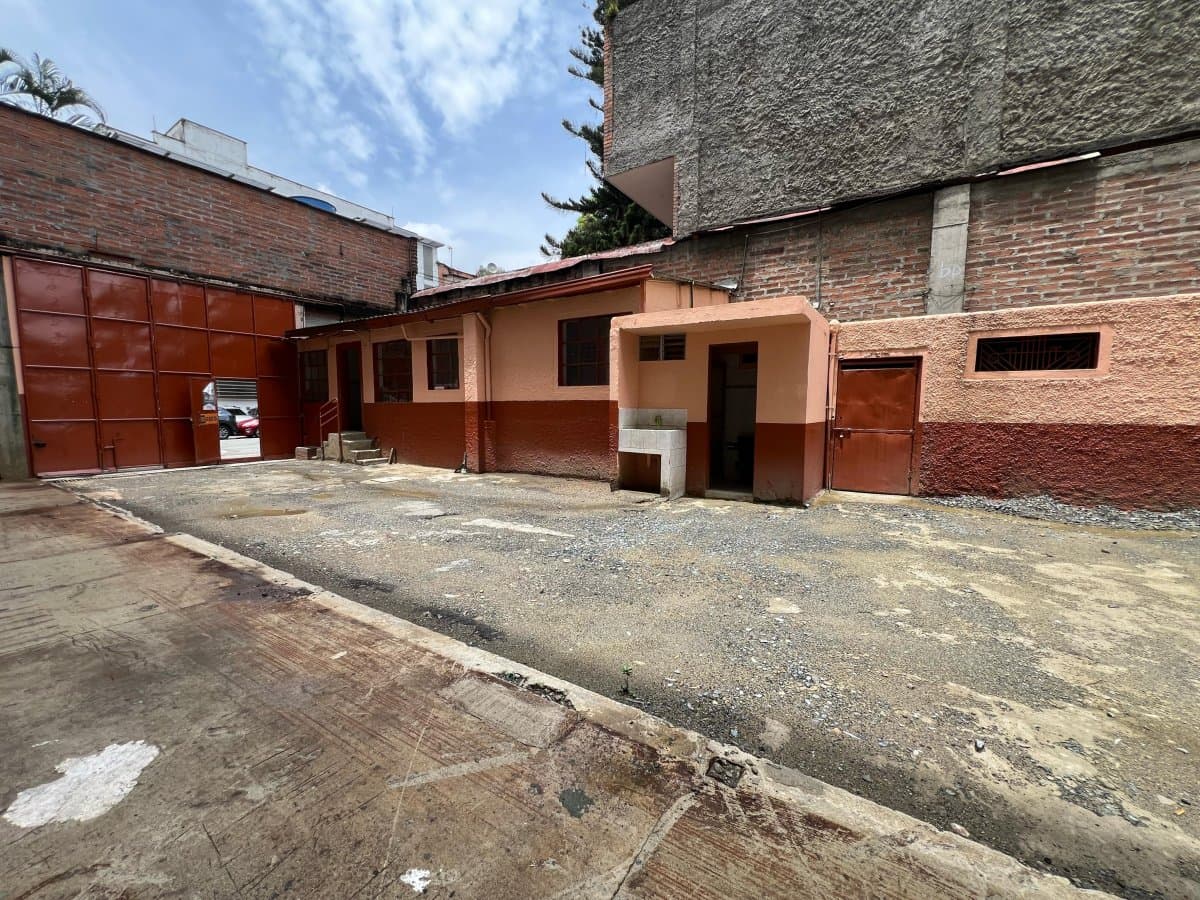 Bodega - Foto 4