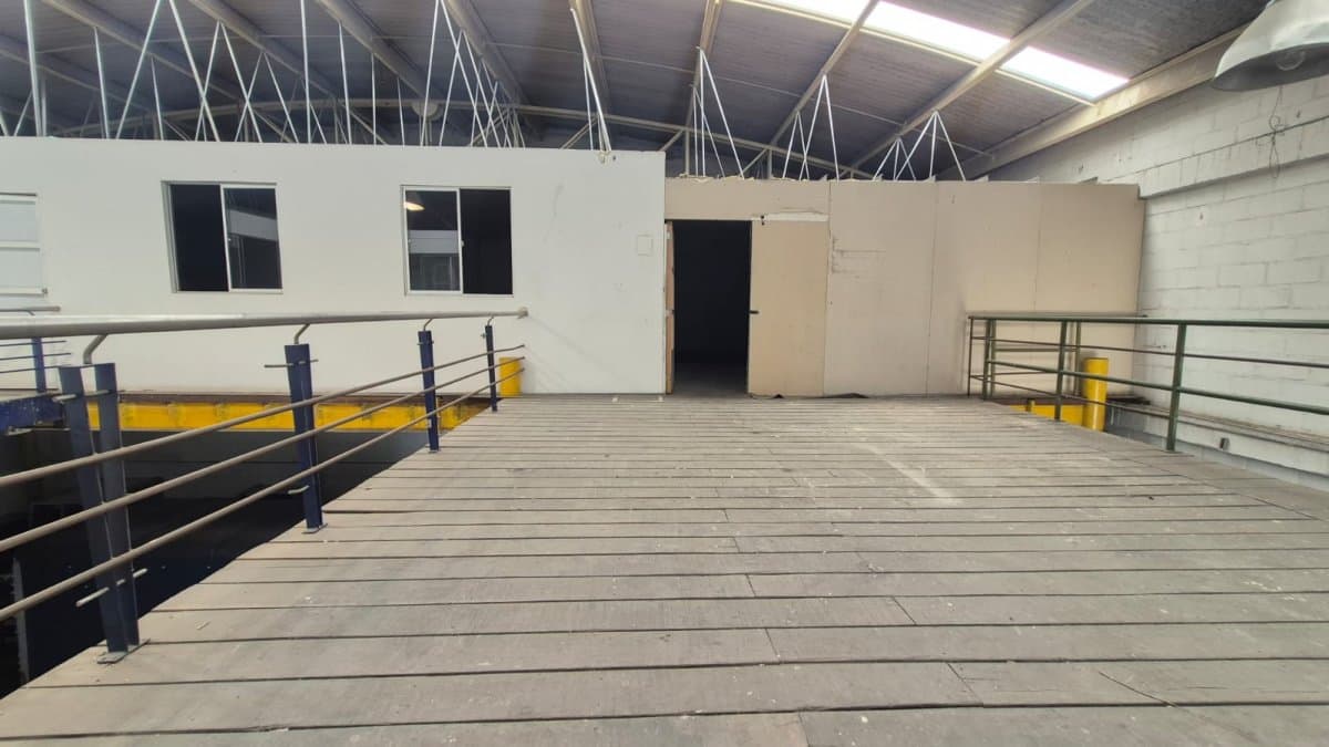 Bodega - Foto 3