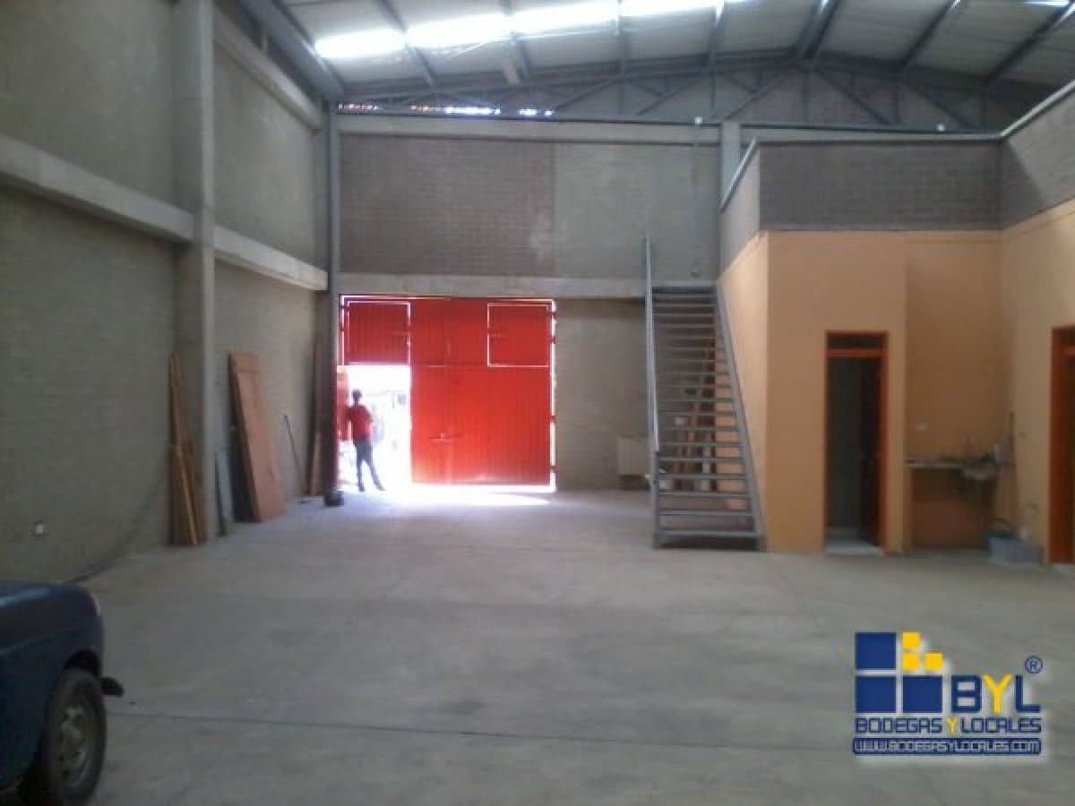 Bodega - Foto 8