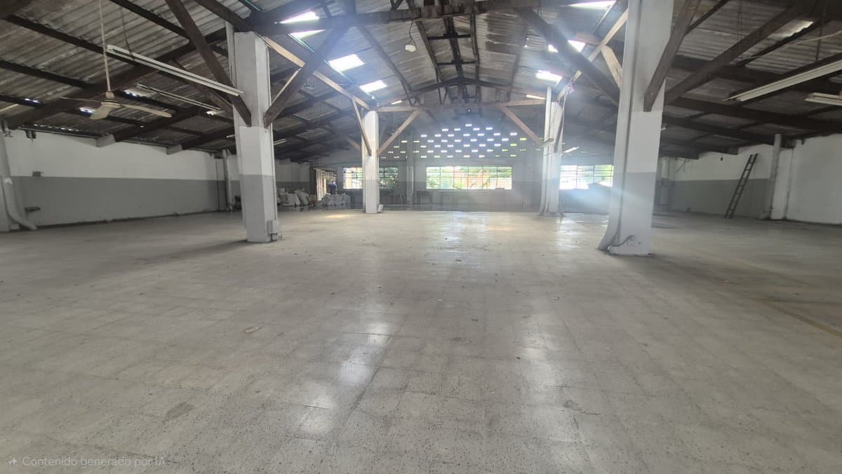Bodega - Foto 5