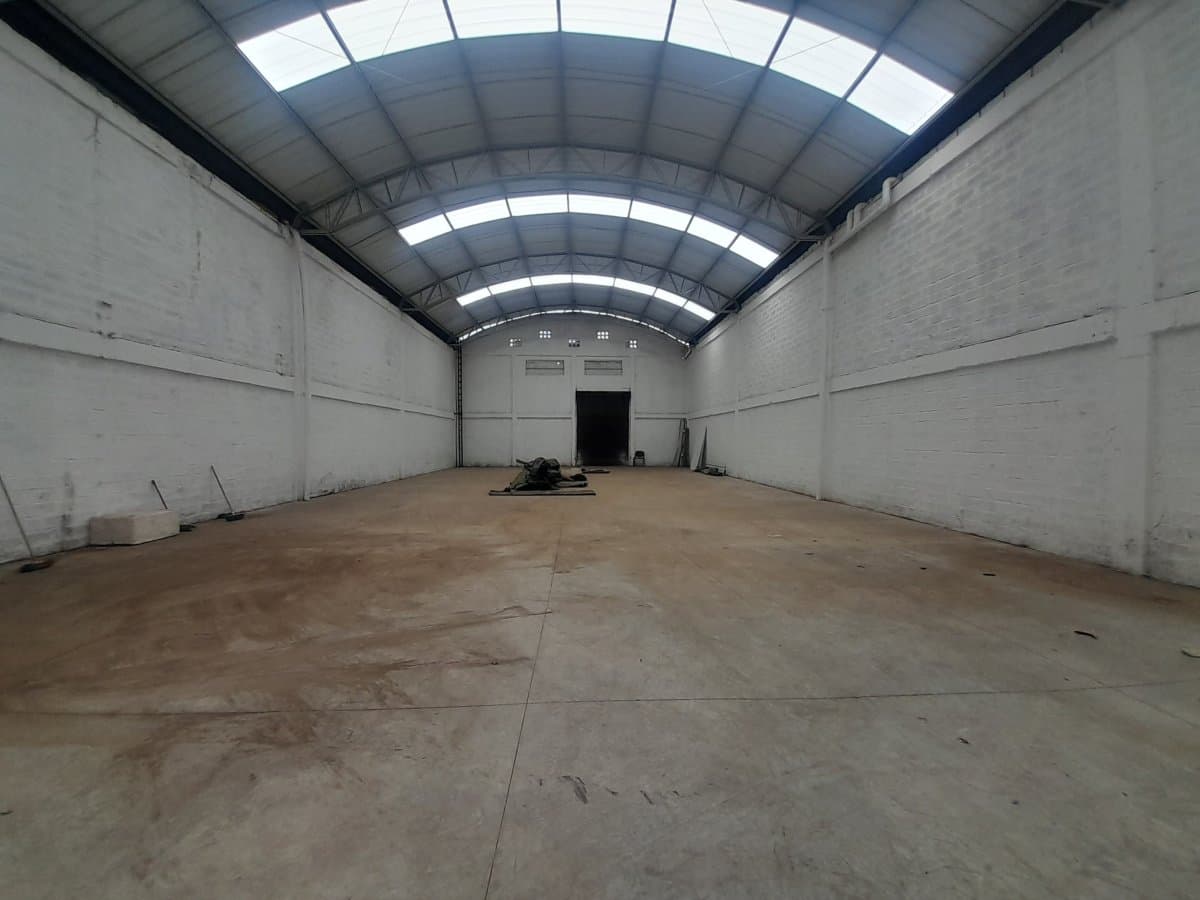 Bodega - Foto 3