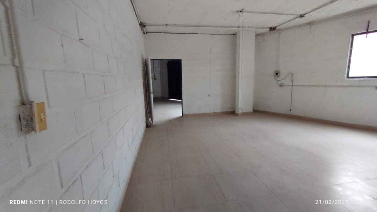 Bodega - Foto 11