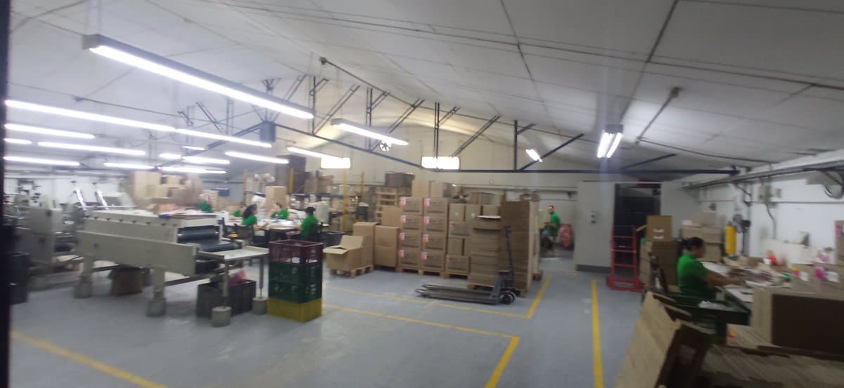Bodega - Foto 5