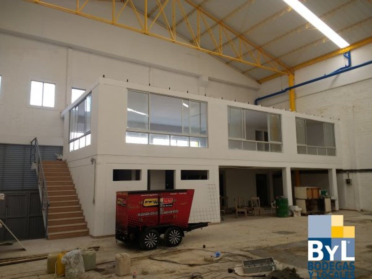 Bodega - Foto 4