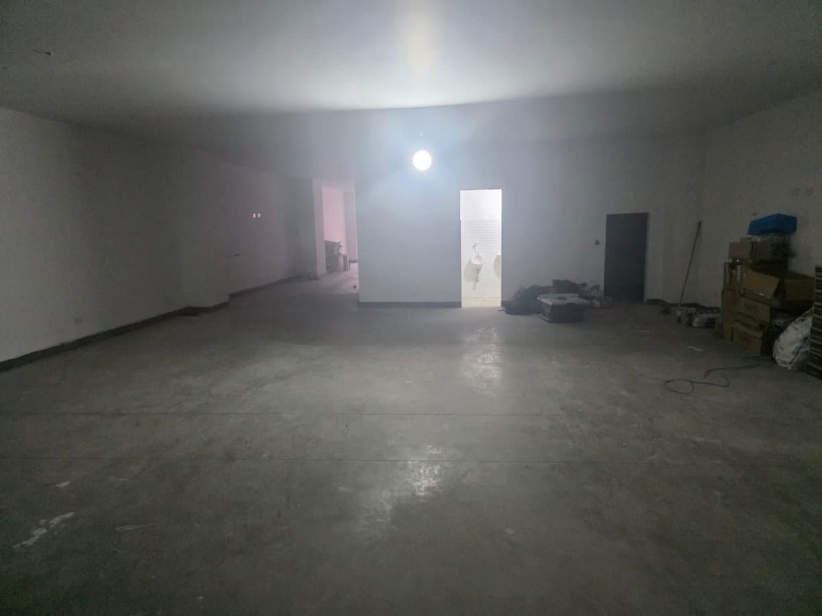 Bodega - Foto 4