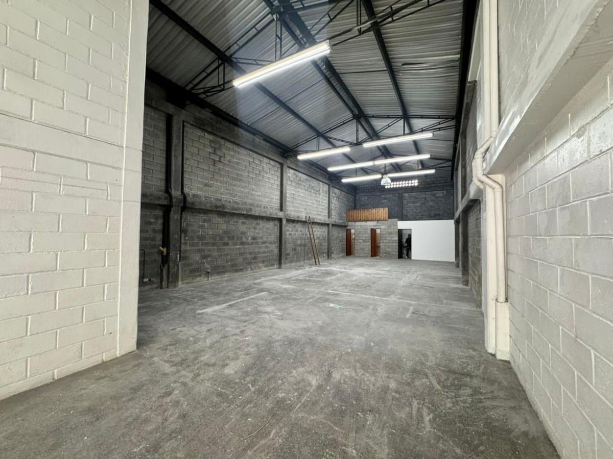 Bodega - Foto 2
