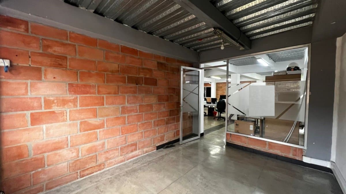 Bodega - Foto 9