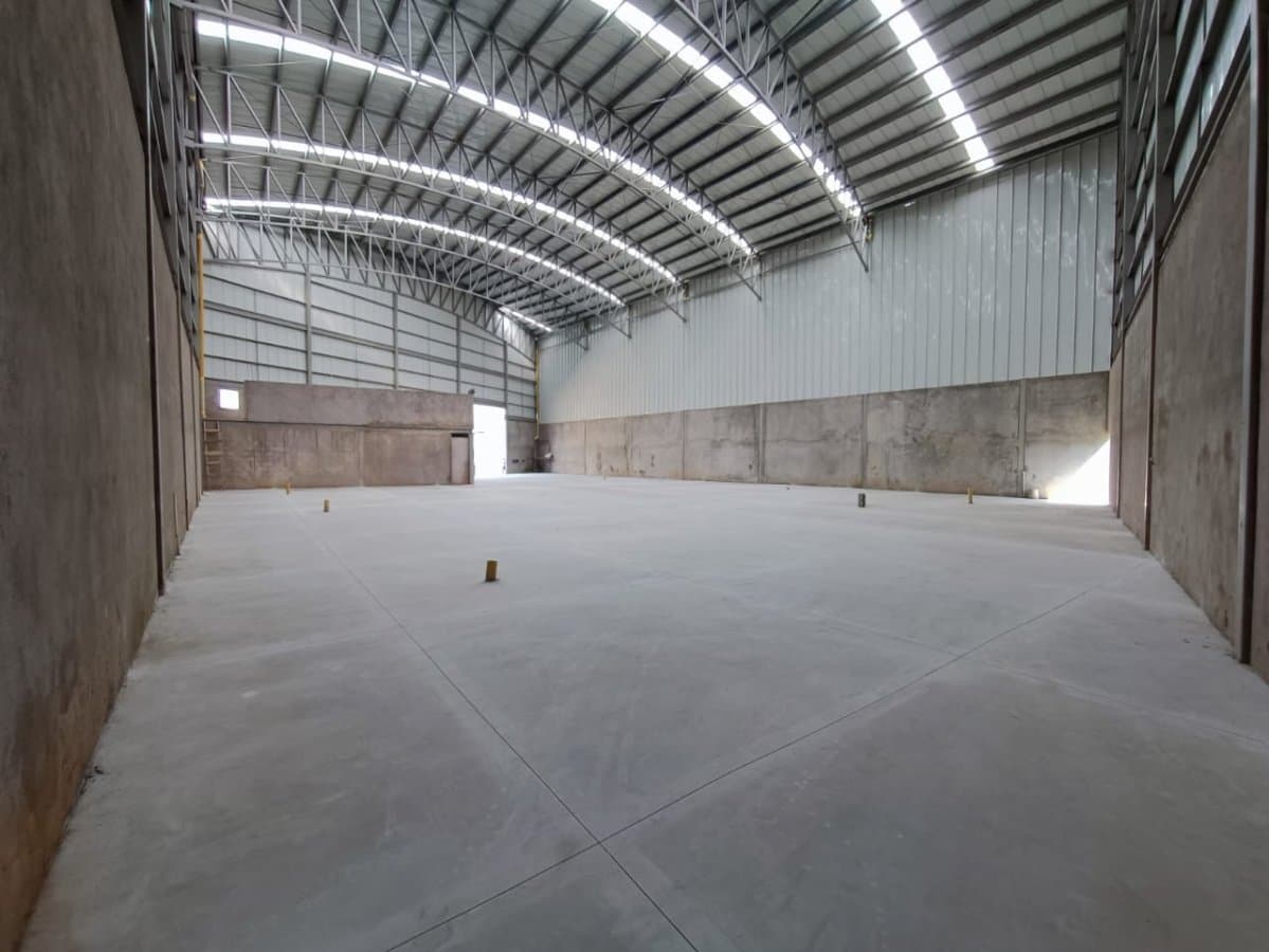 Bodega - Foto 5