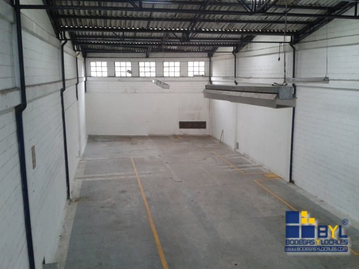 Bodega - Foto 13