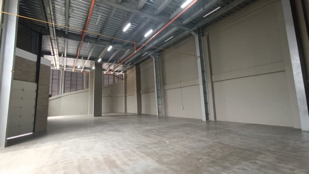 Bodega - Foto 3