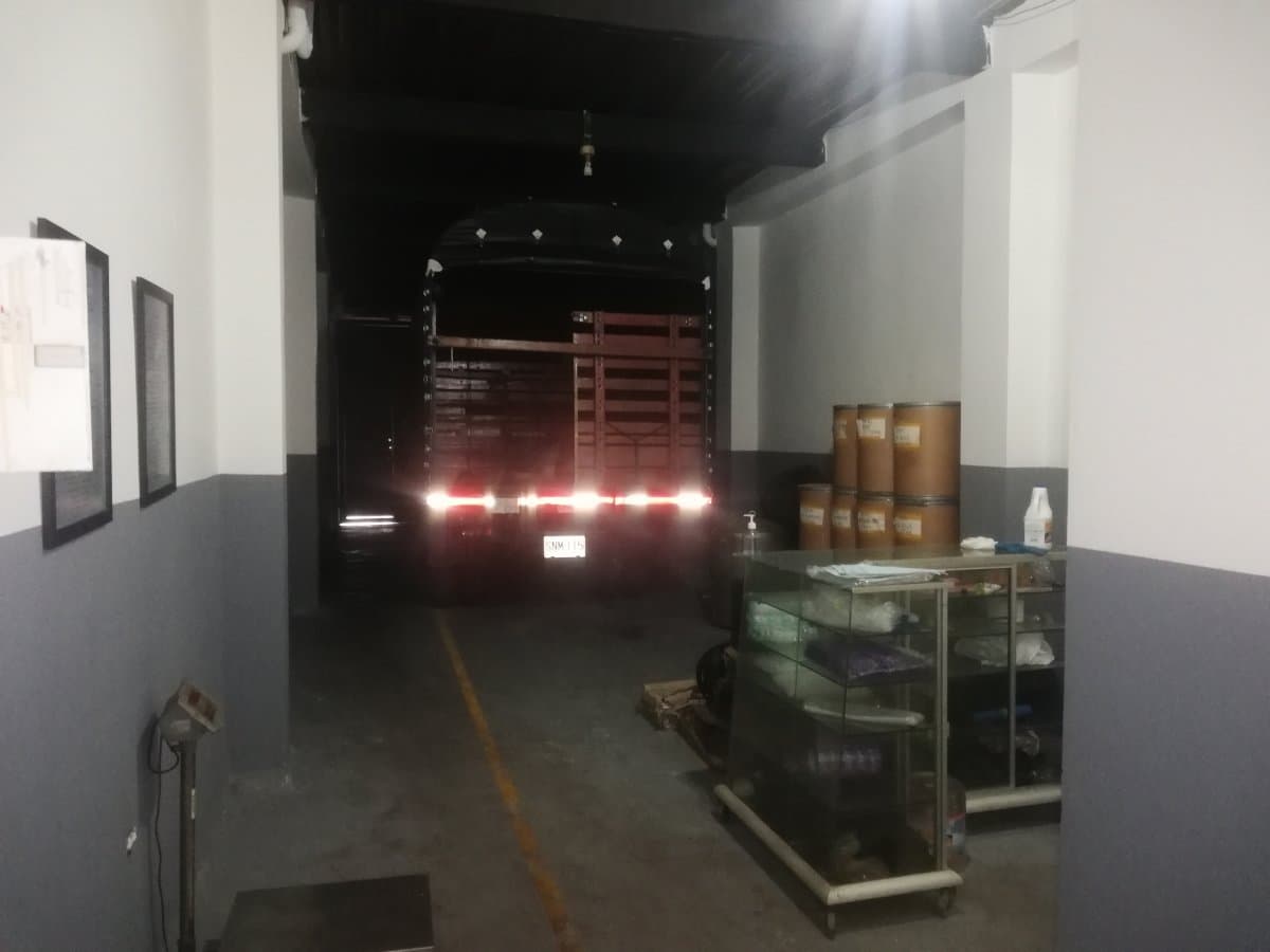 Bodega - Foto 3