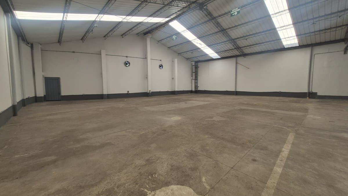 Bodega - Foto 3