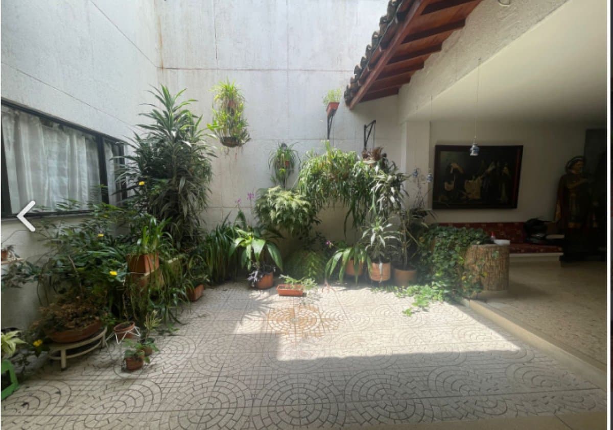 Local - Foto 3