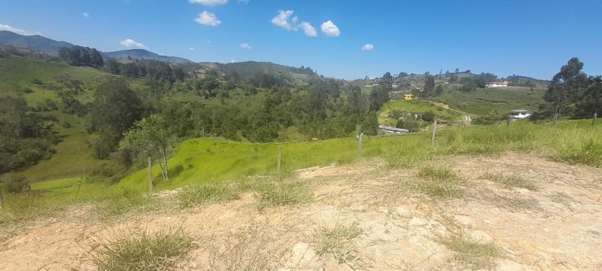 Lote - Foto 20