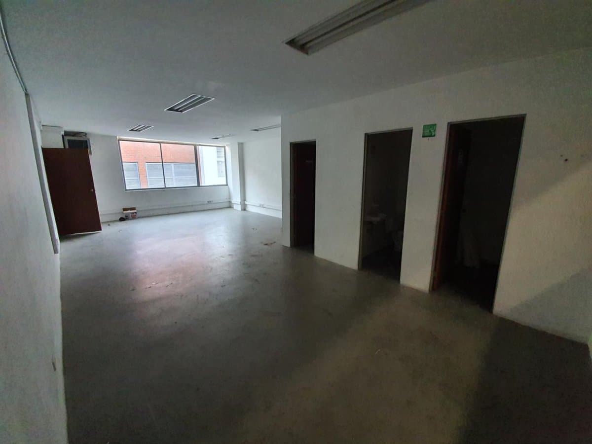 Bodega - Foto 3