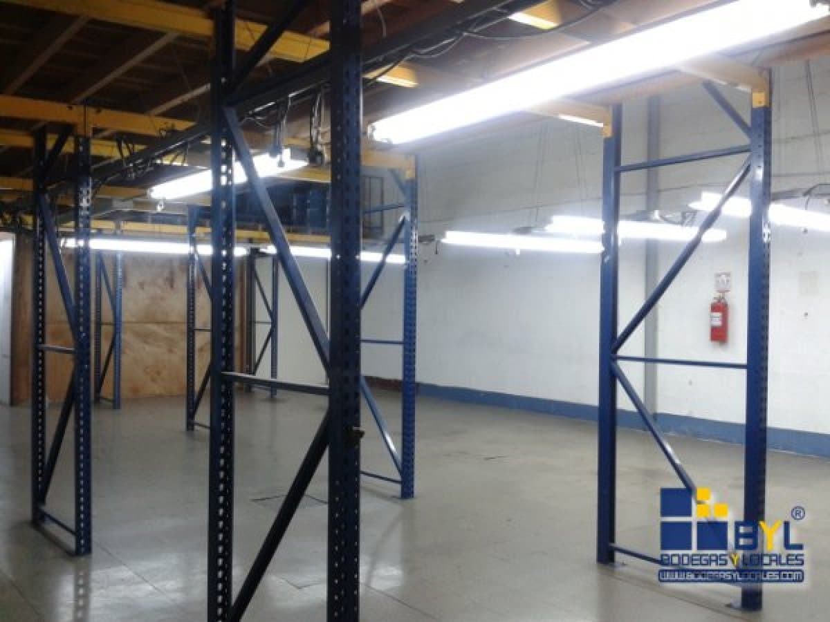 Bodega - Foto 6