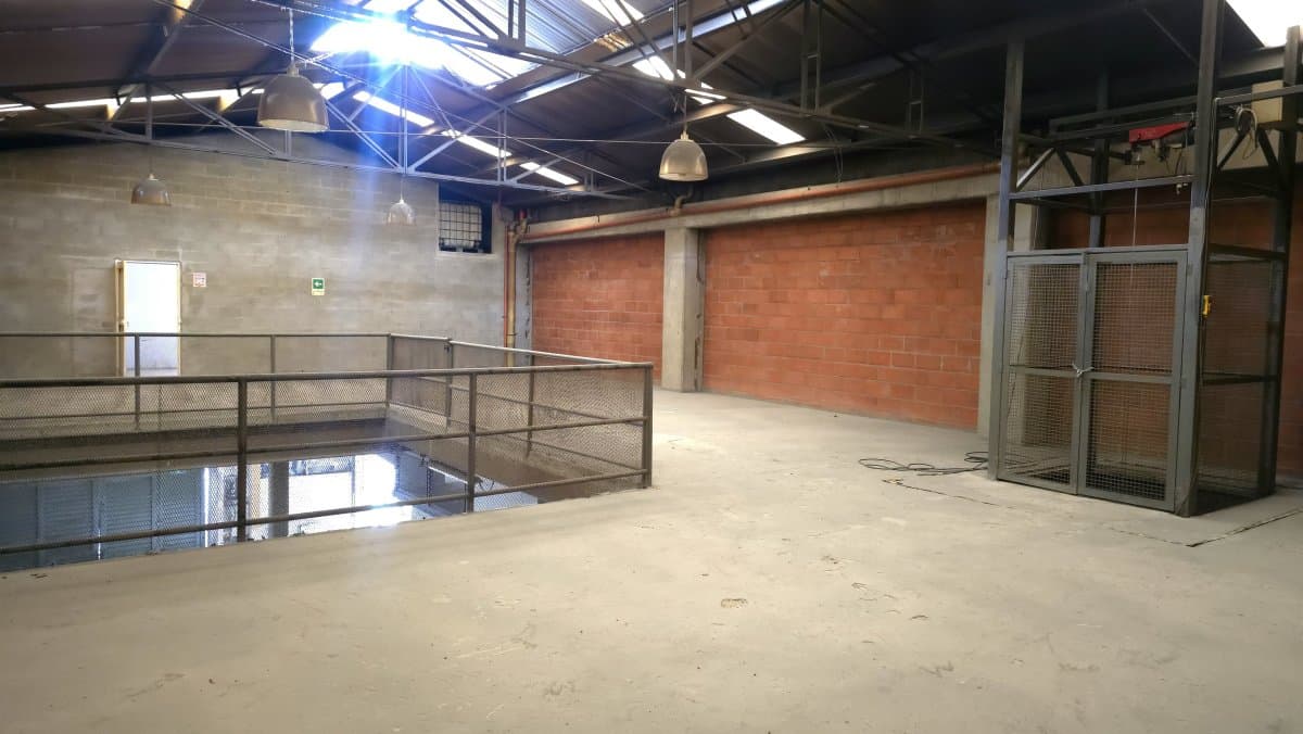 Bodega - Foto 9