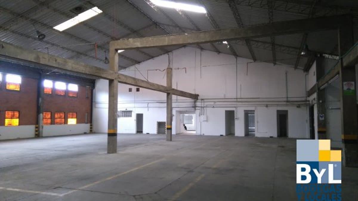 Bodega - Foto 6