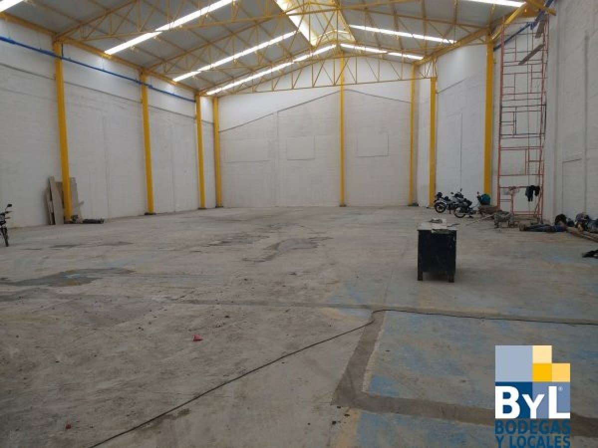 Bodega - Foto 3