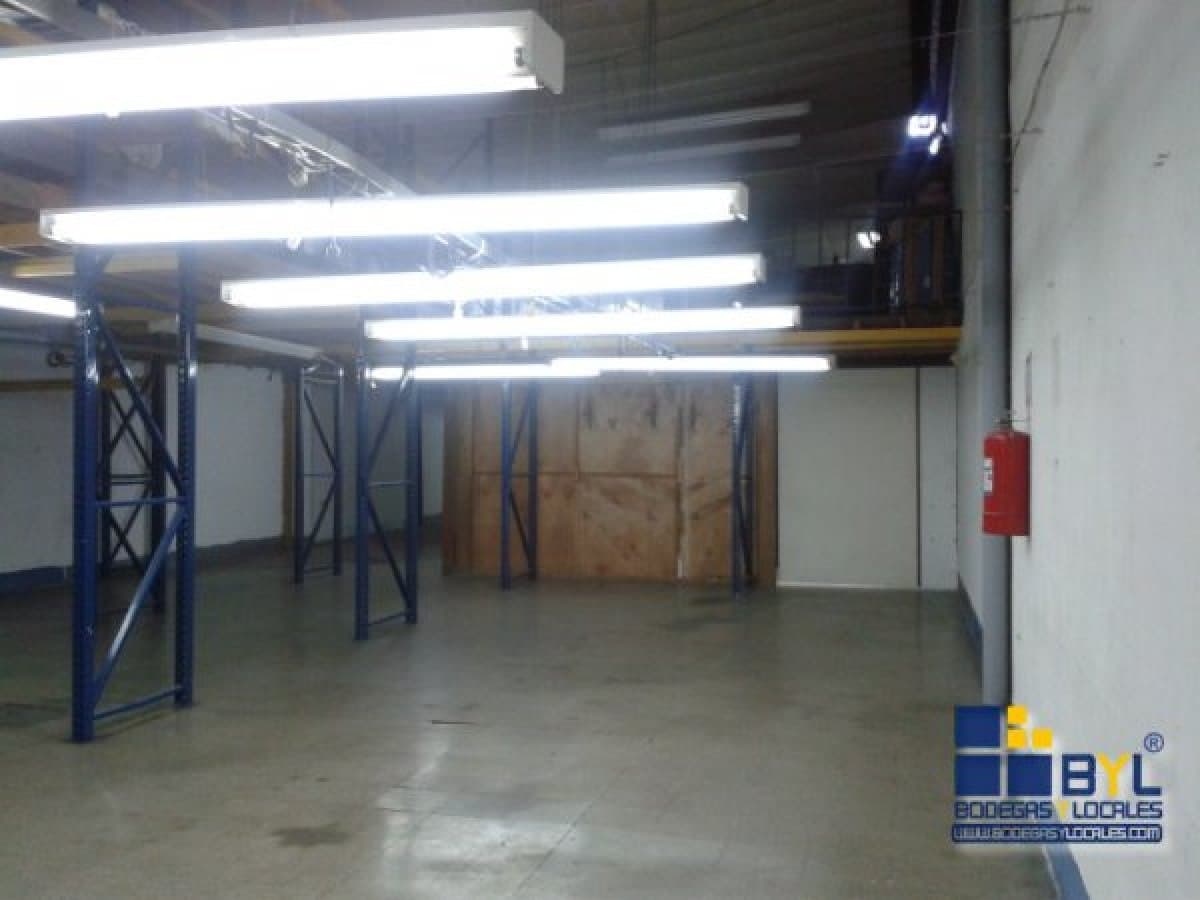 Bodega - Foto 3