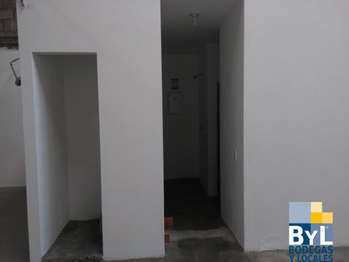 Bodega - Foto 2