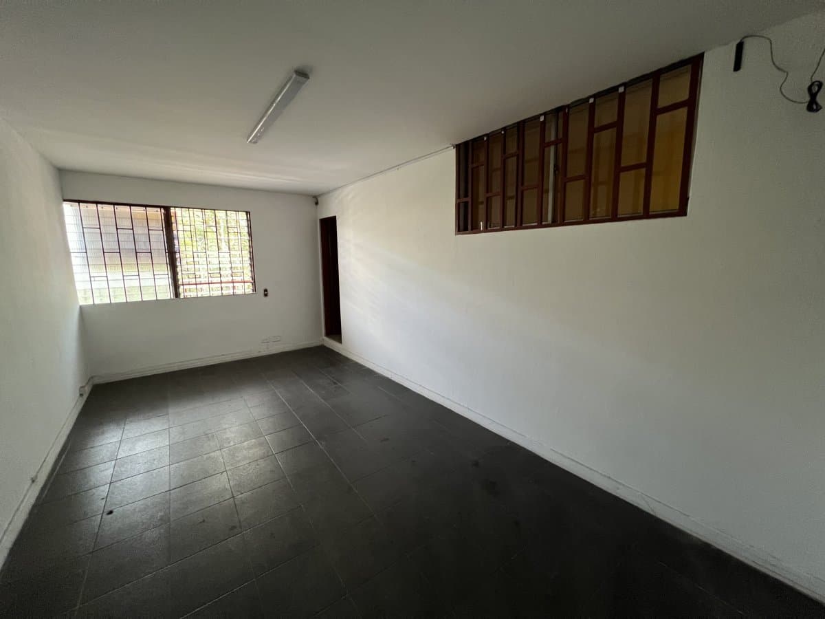 Bodega - Foto 4