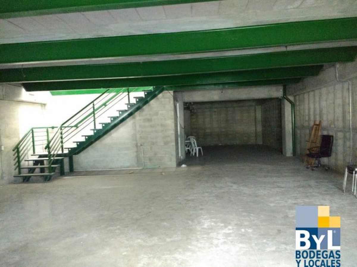 Bodega - Foto 4