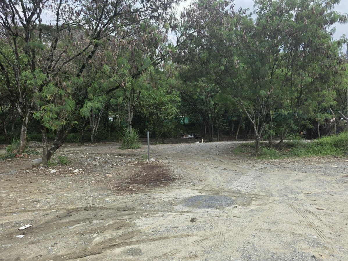 Lote - Foto 12
