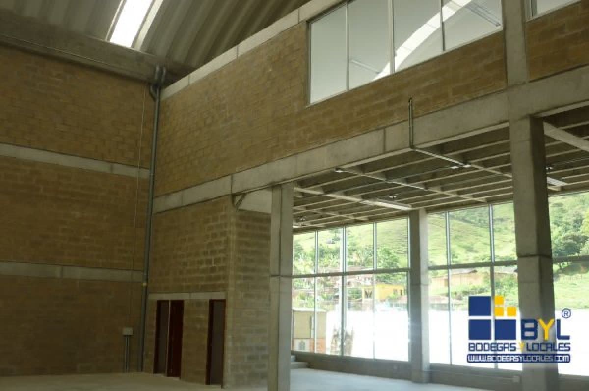 Bodega - Foto 3