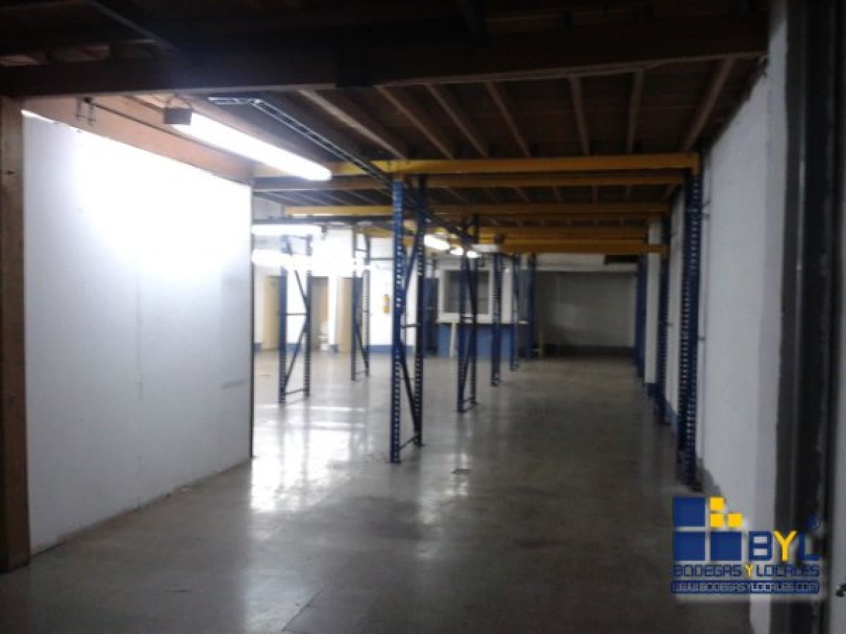 Bodega - Foto 7