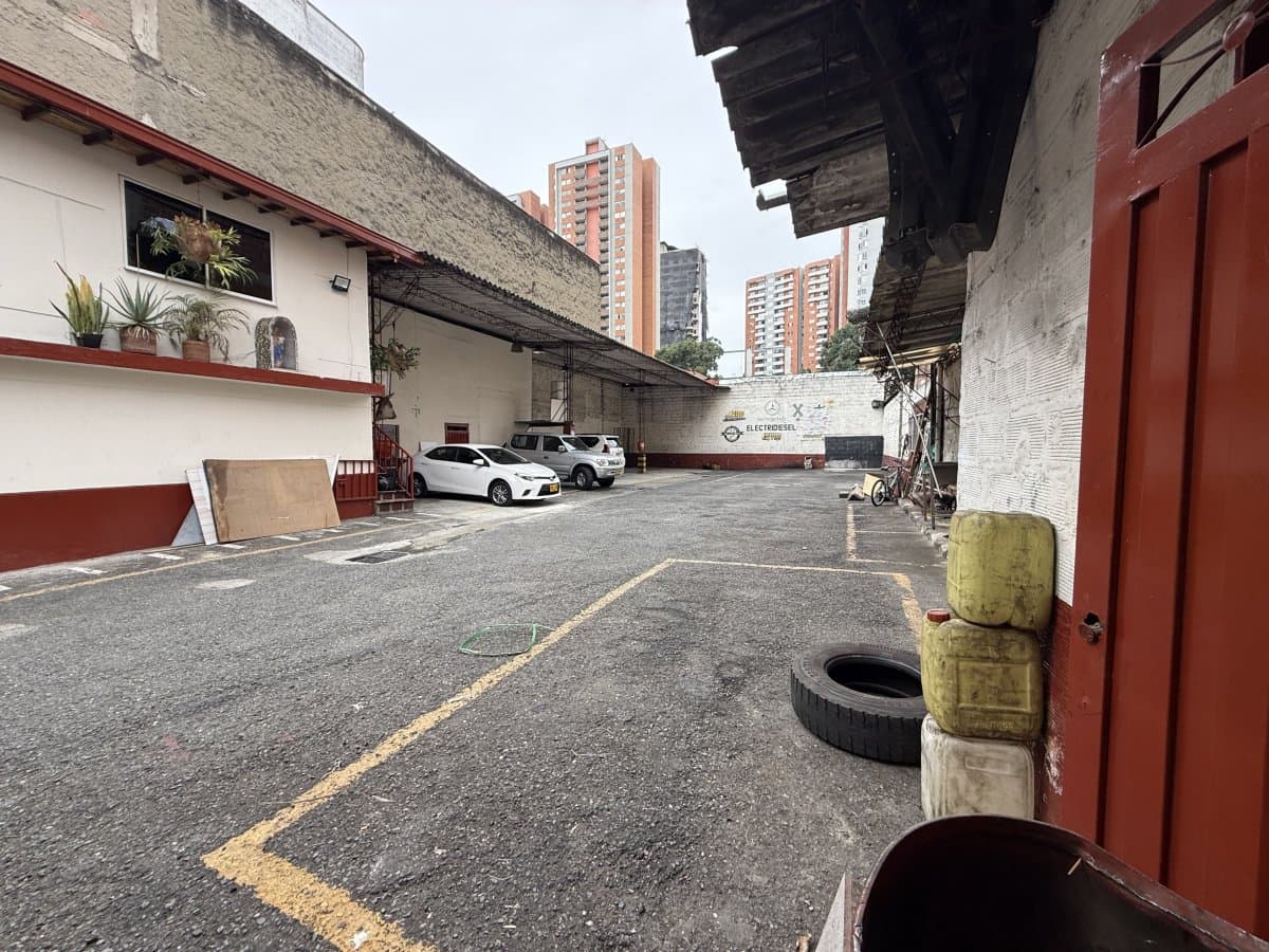 Bodega - Foto 4