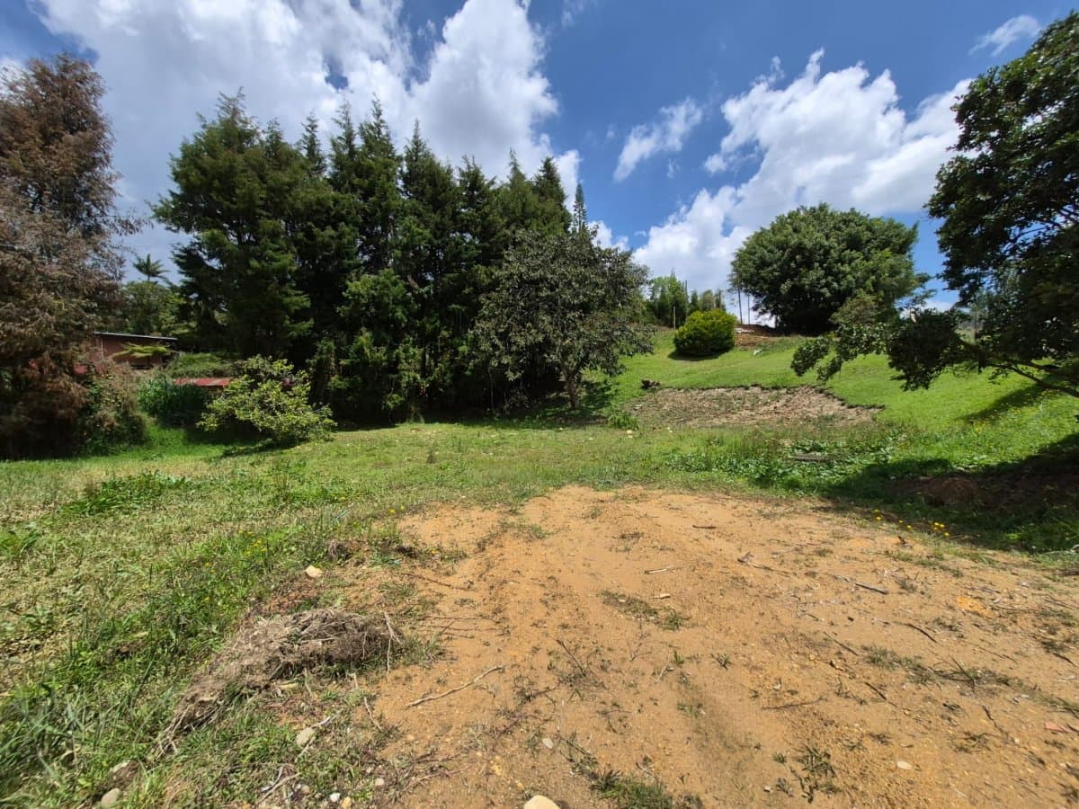 Lote - Foto 1