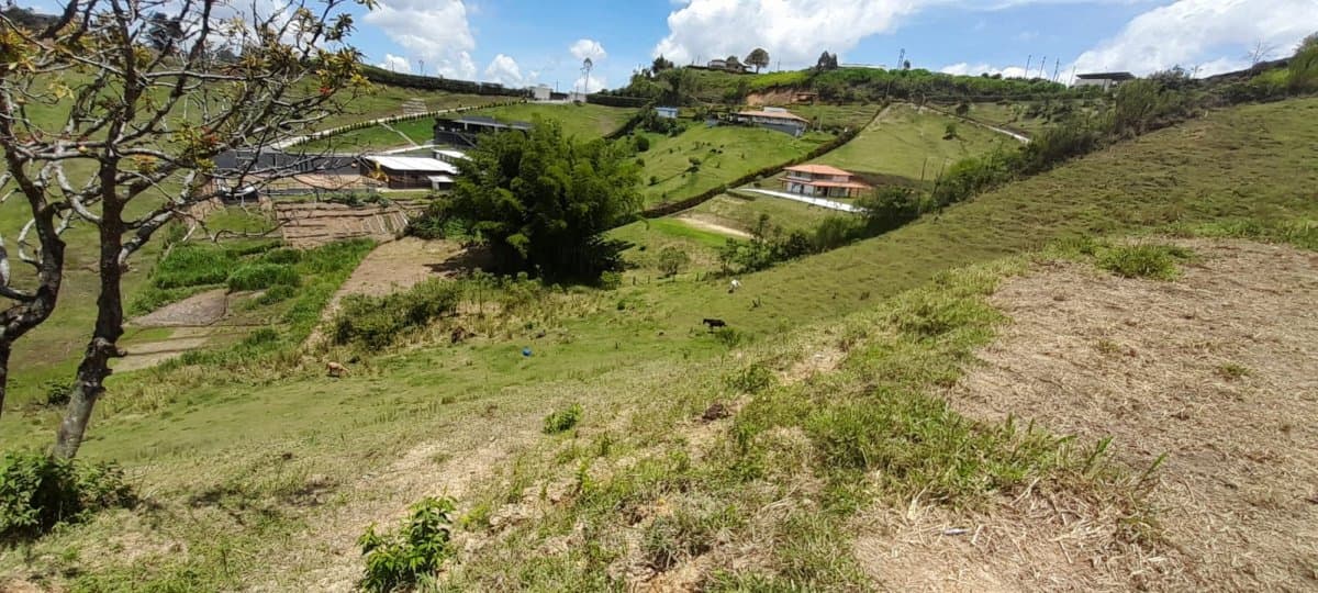 Lote - Foto 3