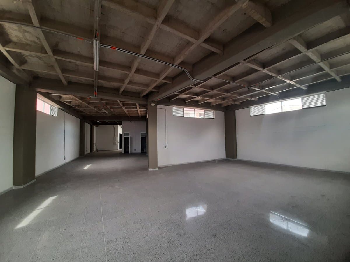 Bodega - Foto 4