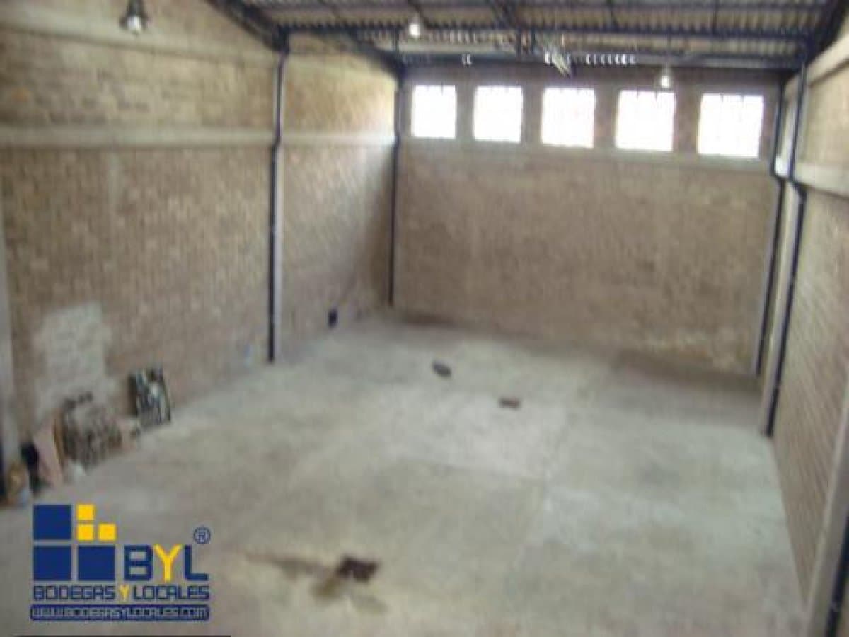 Bodega - Foto 2