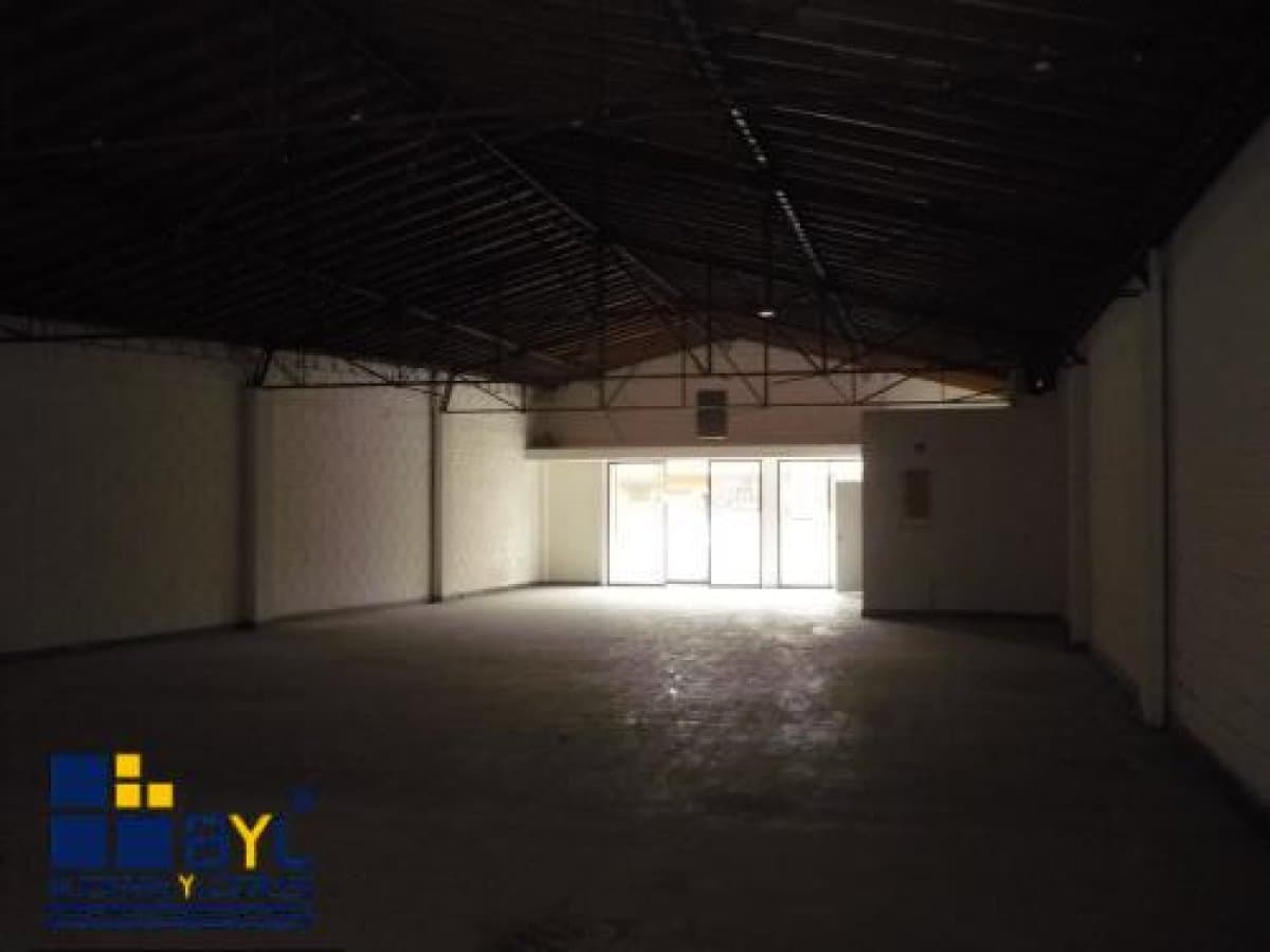 Bodega - Foto 4