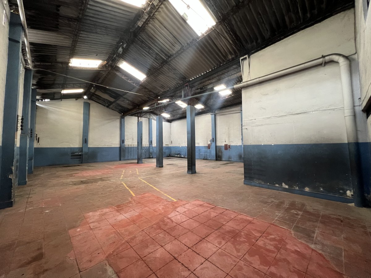 Bodega - Foto 5