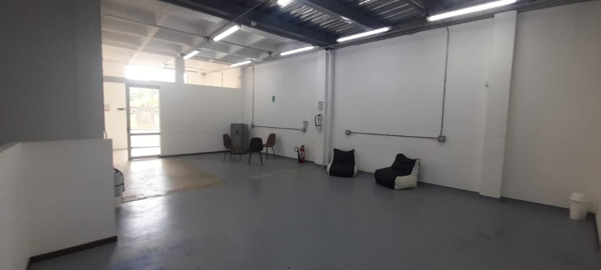 Bodega - Foto 14