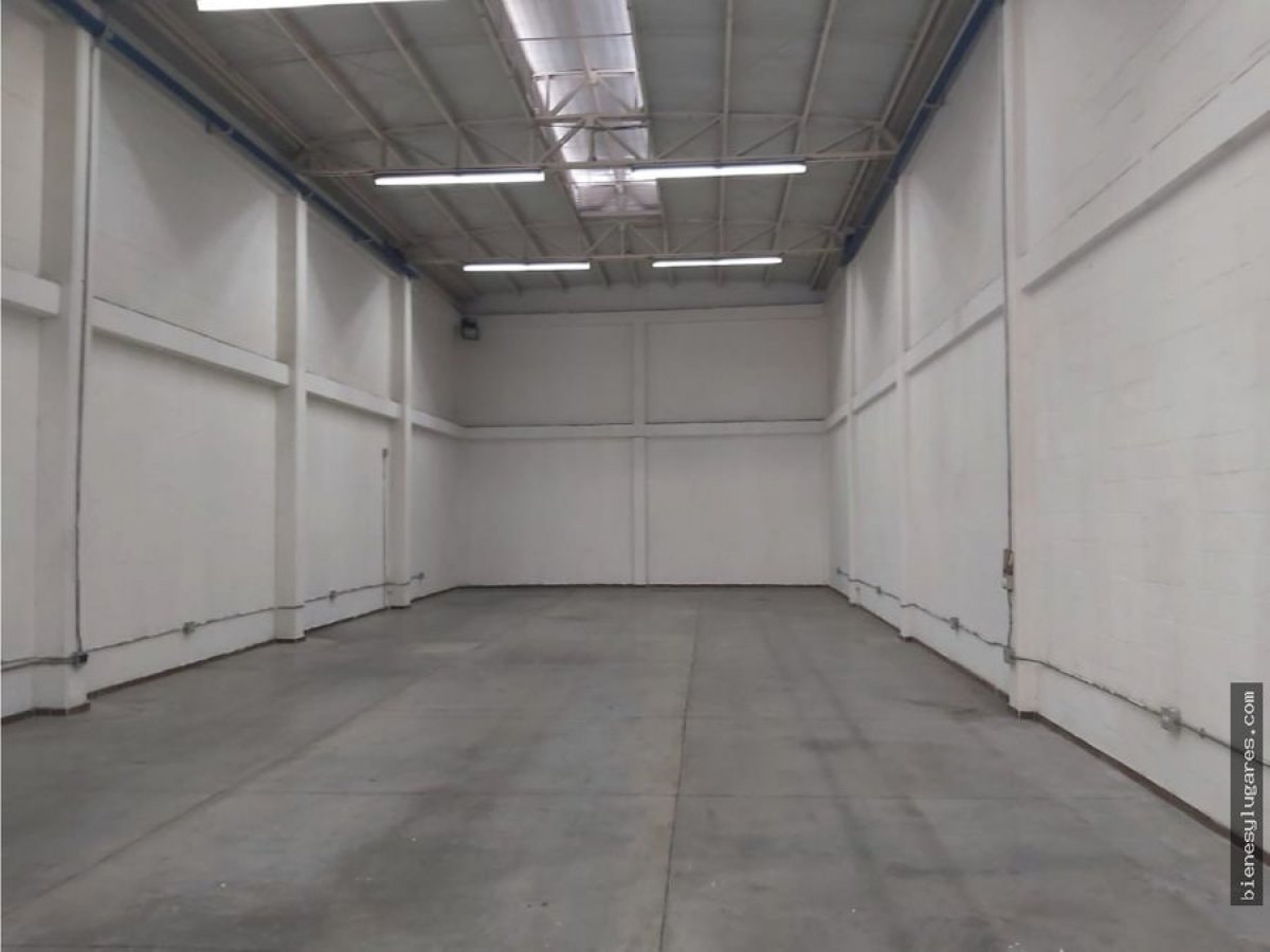 Bodega - Foto 2