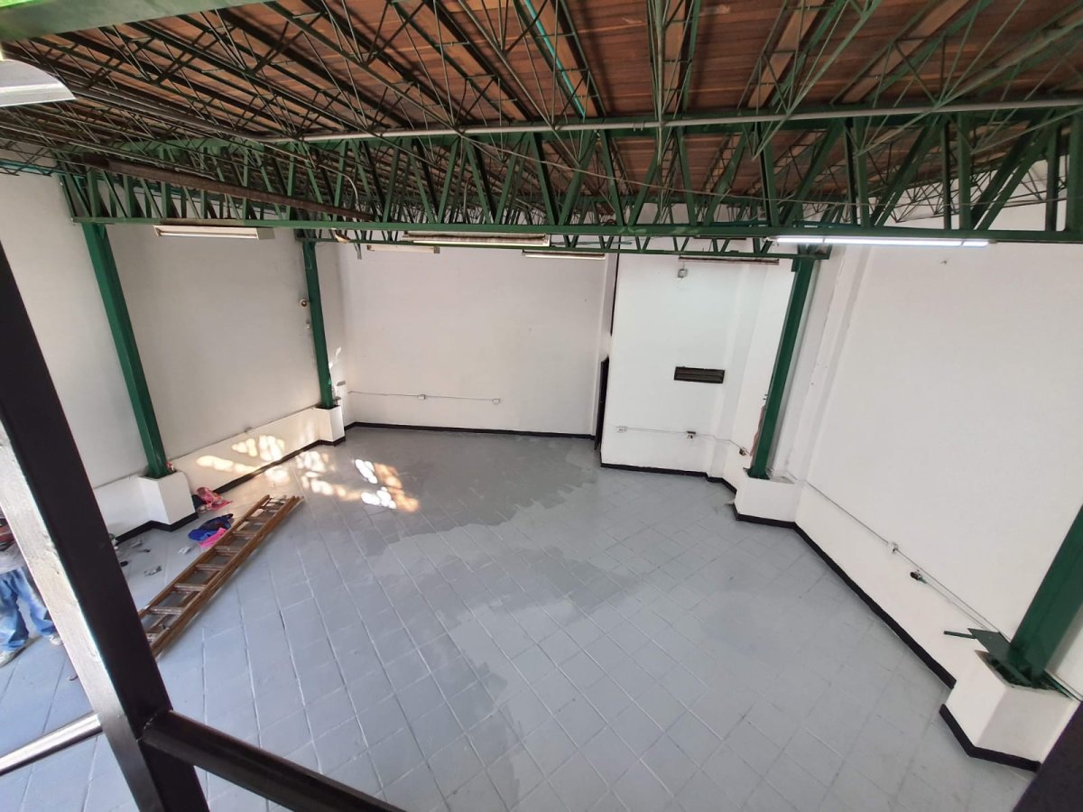 Bodega - Foto 5