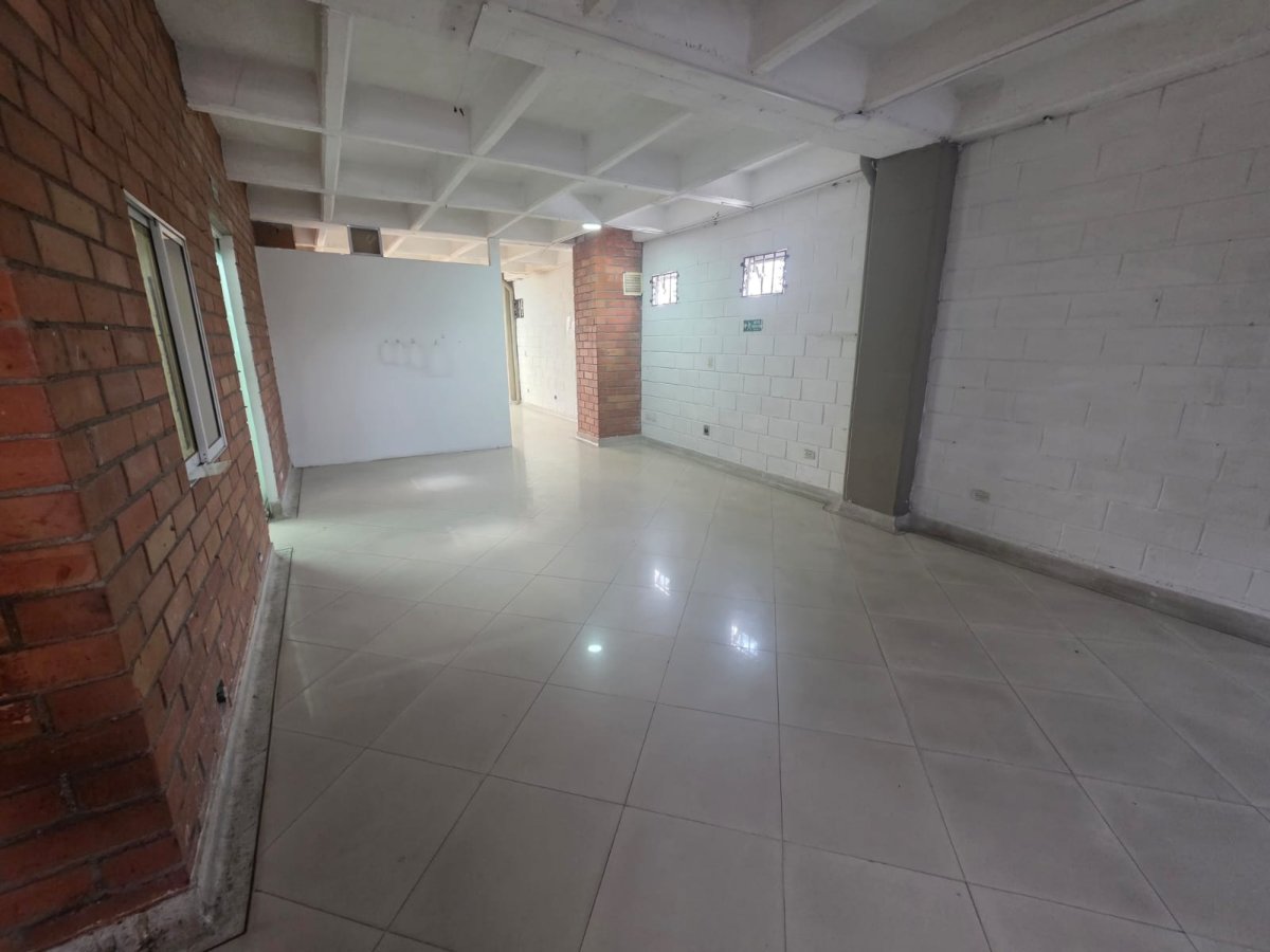 Bodega - Foto 11