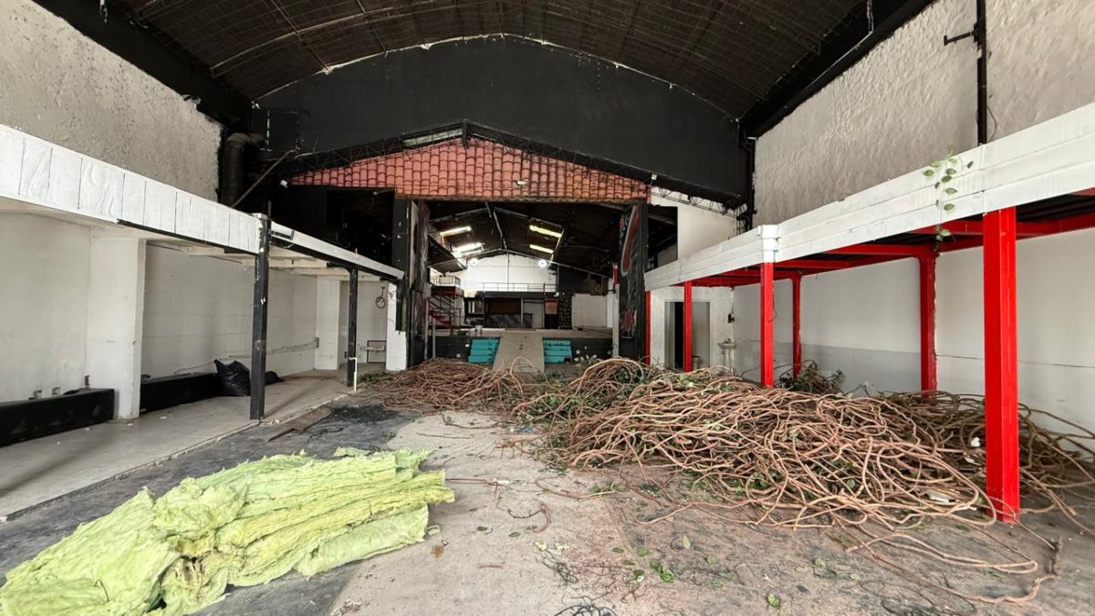 Bodega - Foto 7