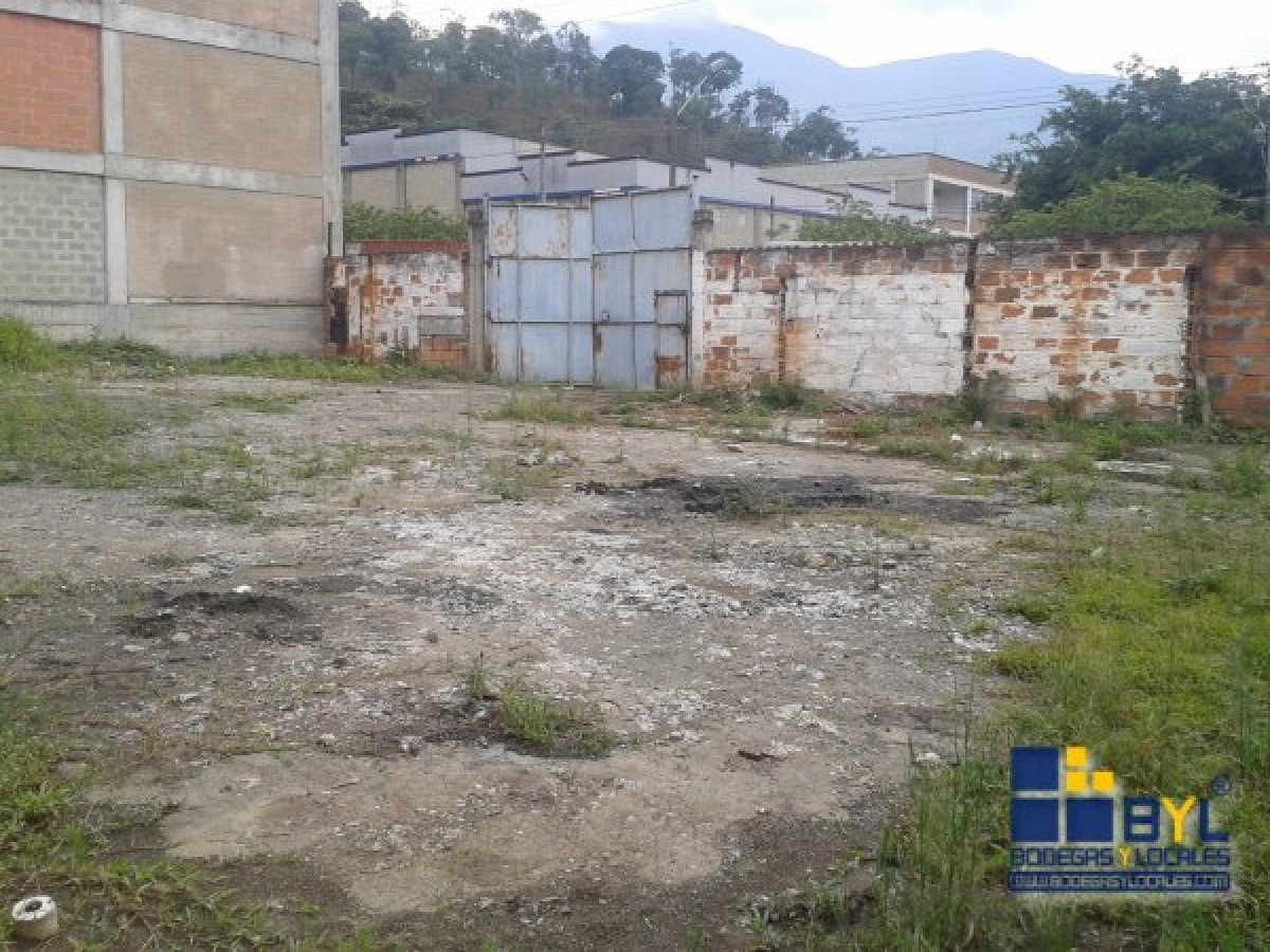 Lote - Foto 3