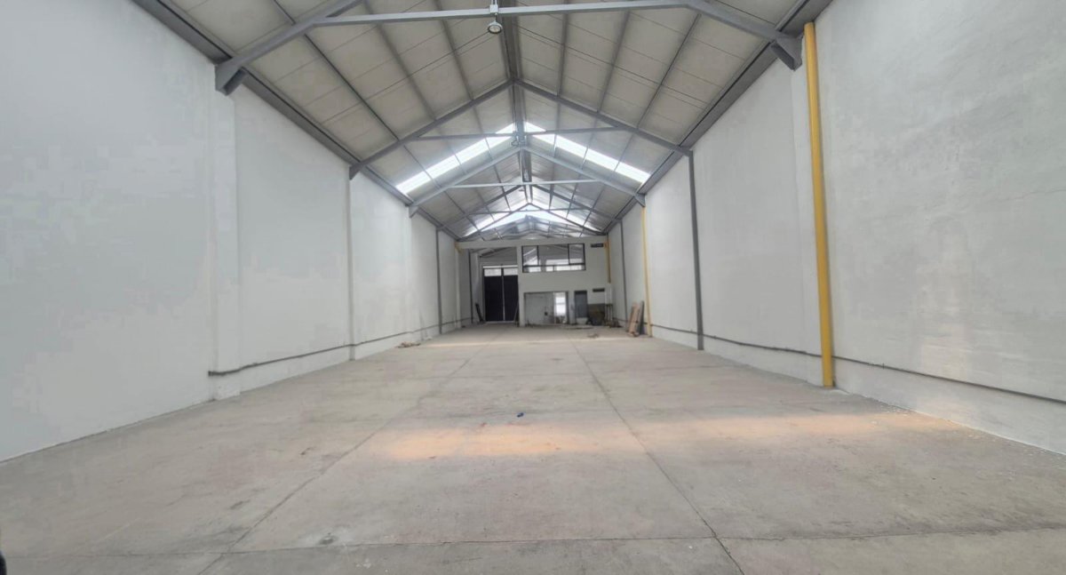 Bodega - Foto 6