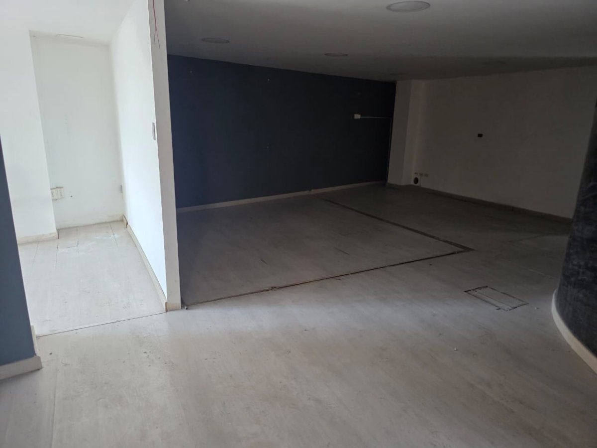 Bodega - Foto 2