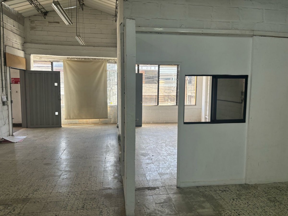 Bodega - Foto 4